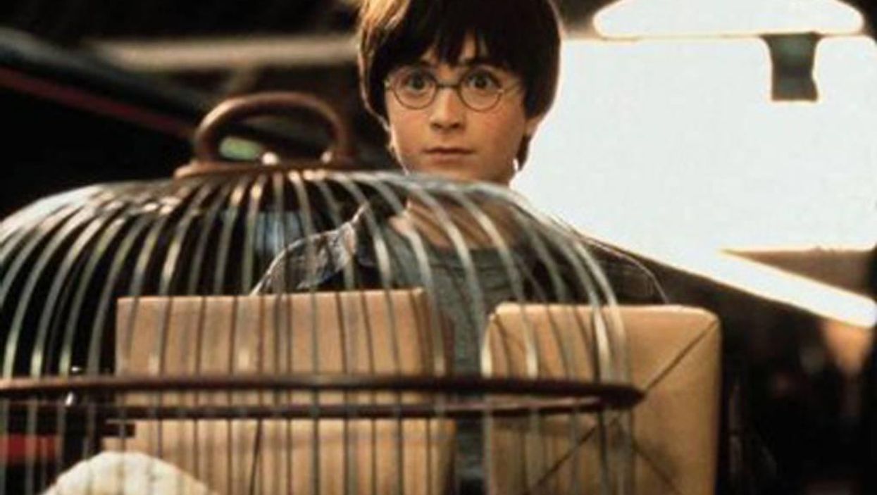 11 Harry Potter fan theories that are actually pretty convincing