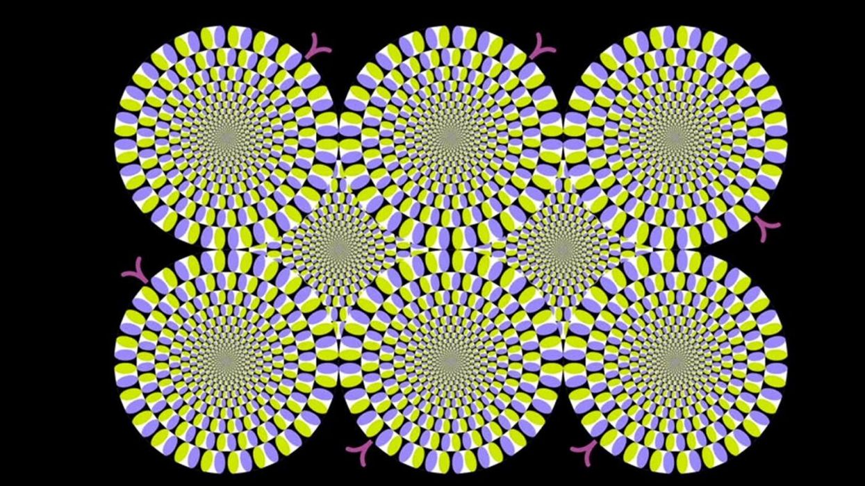This is how optical illusions work