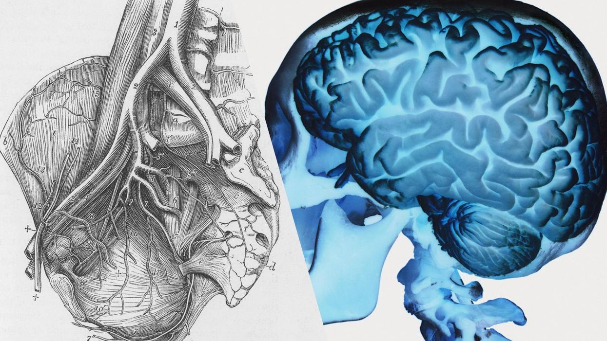 Quiz: Are you a heart or a head person?