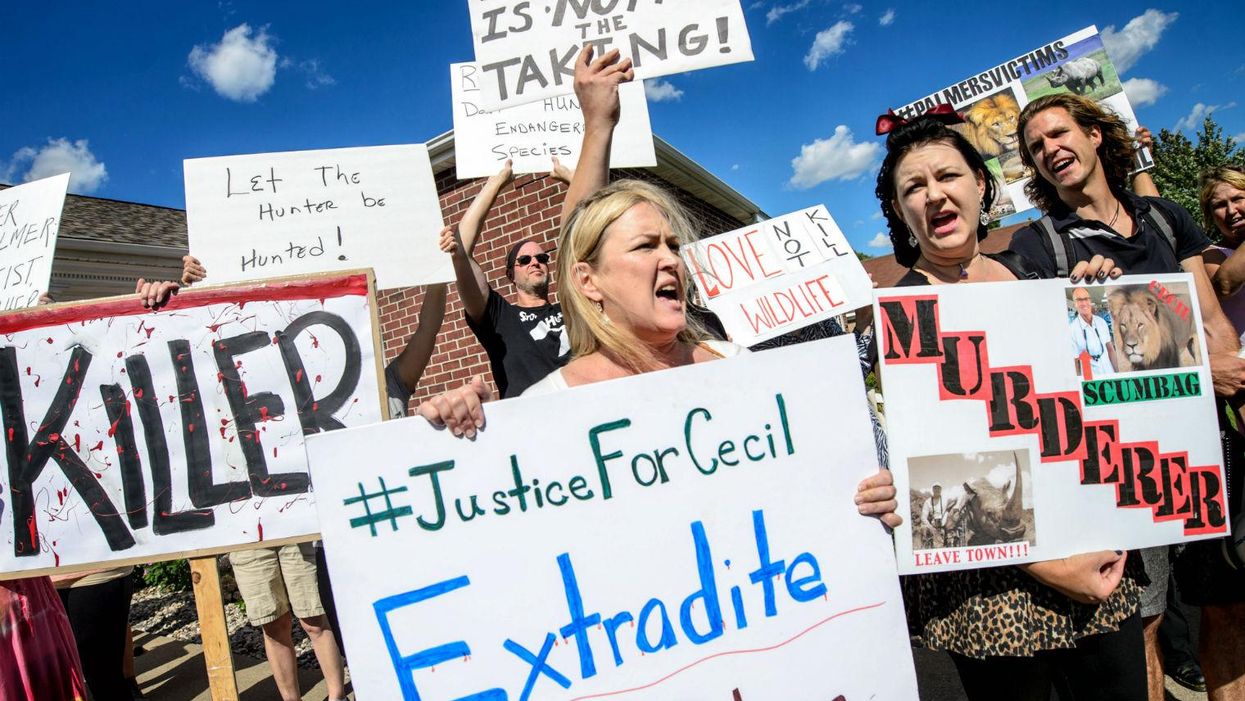 The US is now hunting for Walter Palmer