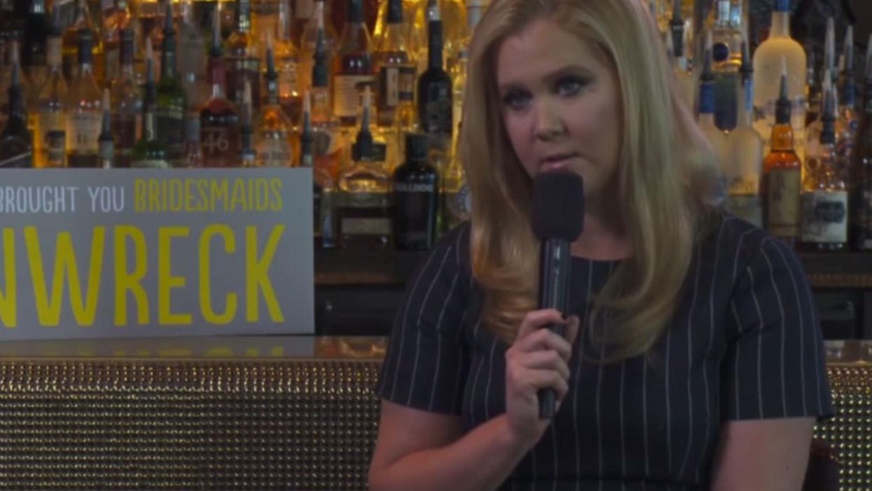 This interviewer told Amy Schumer her character was 'skanky'. Big mistake