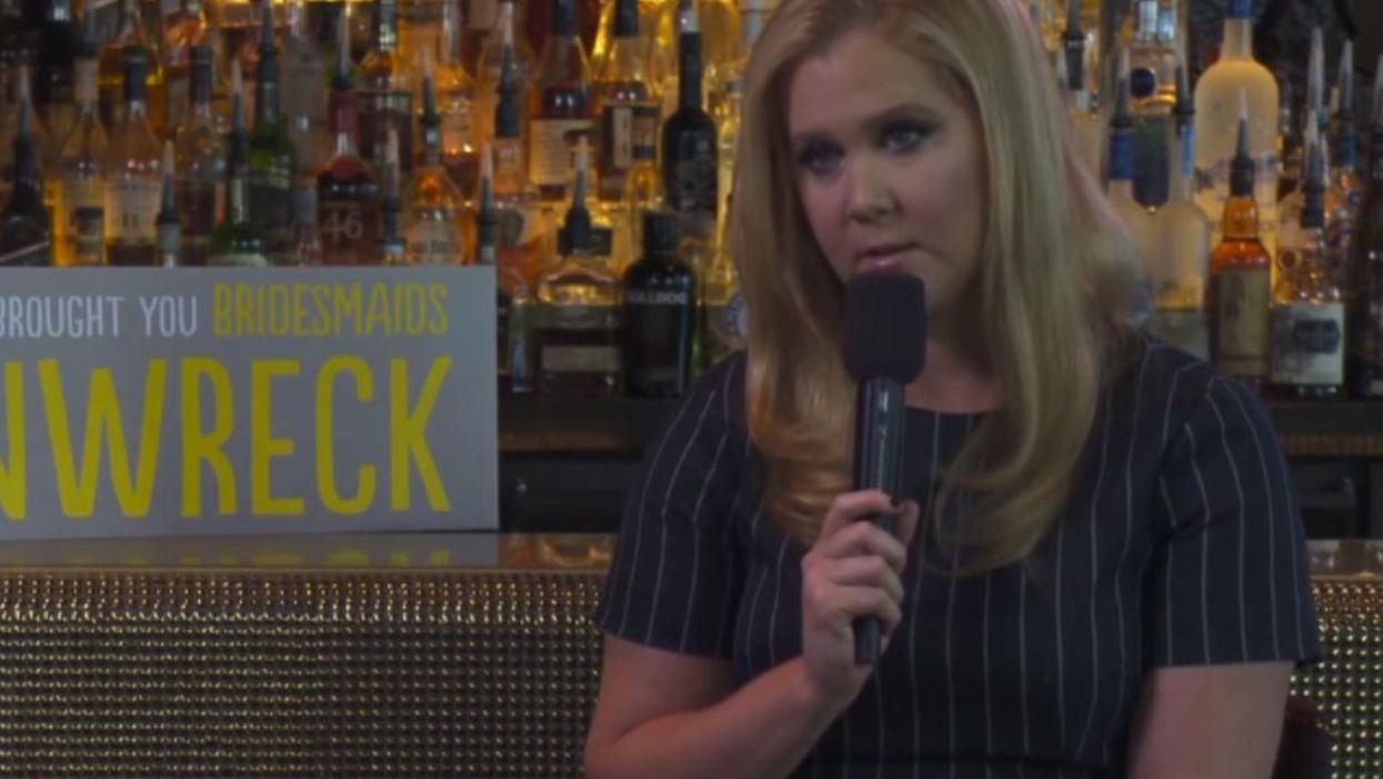 This interviewer told Amy Schumer her character was 'skanky'. Big mistake