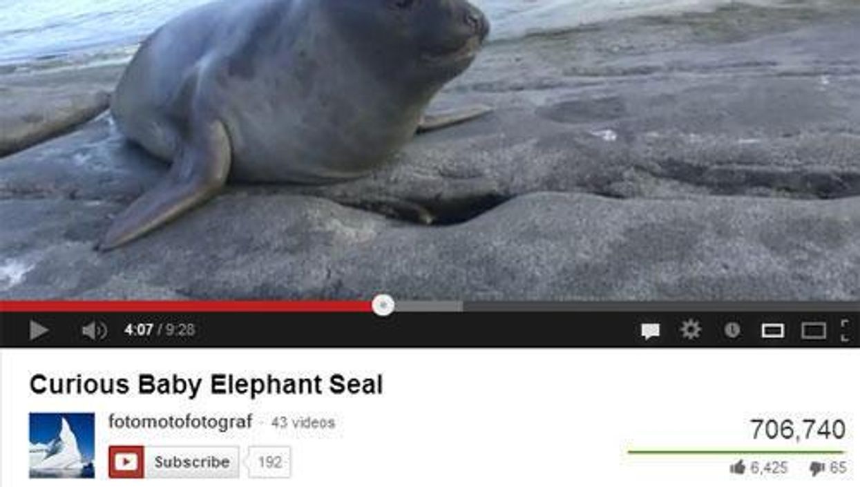 20 YouTube comments that prove they aren't all terrible