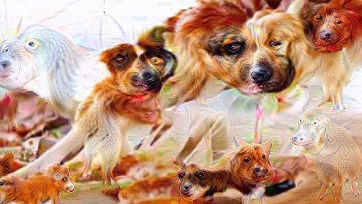 This pizza video made using Google's DeepDream software will haunt you forever