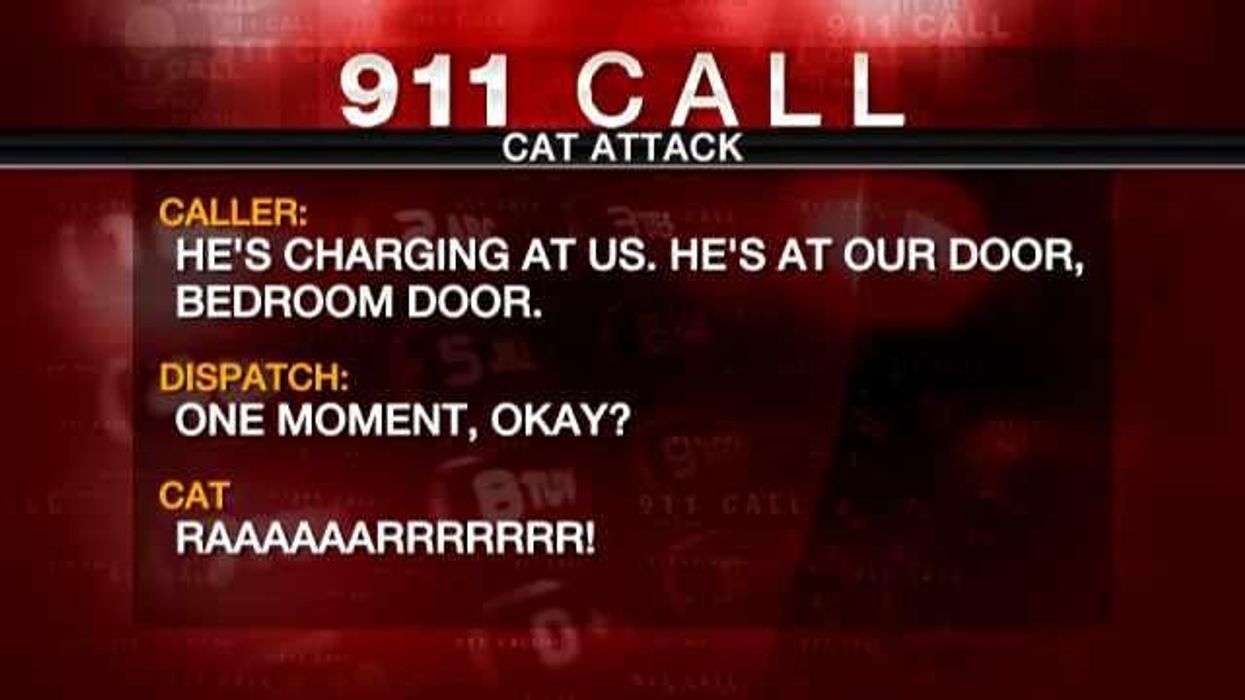 Man calls police because his cat won't let him inside house