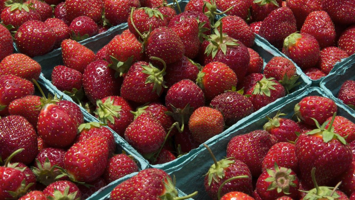 Here are the foods that will taste better than ever this summer
