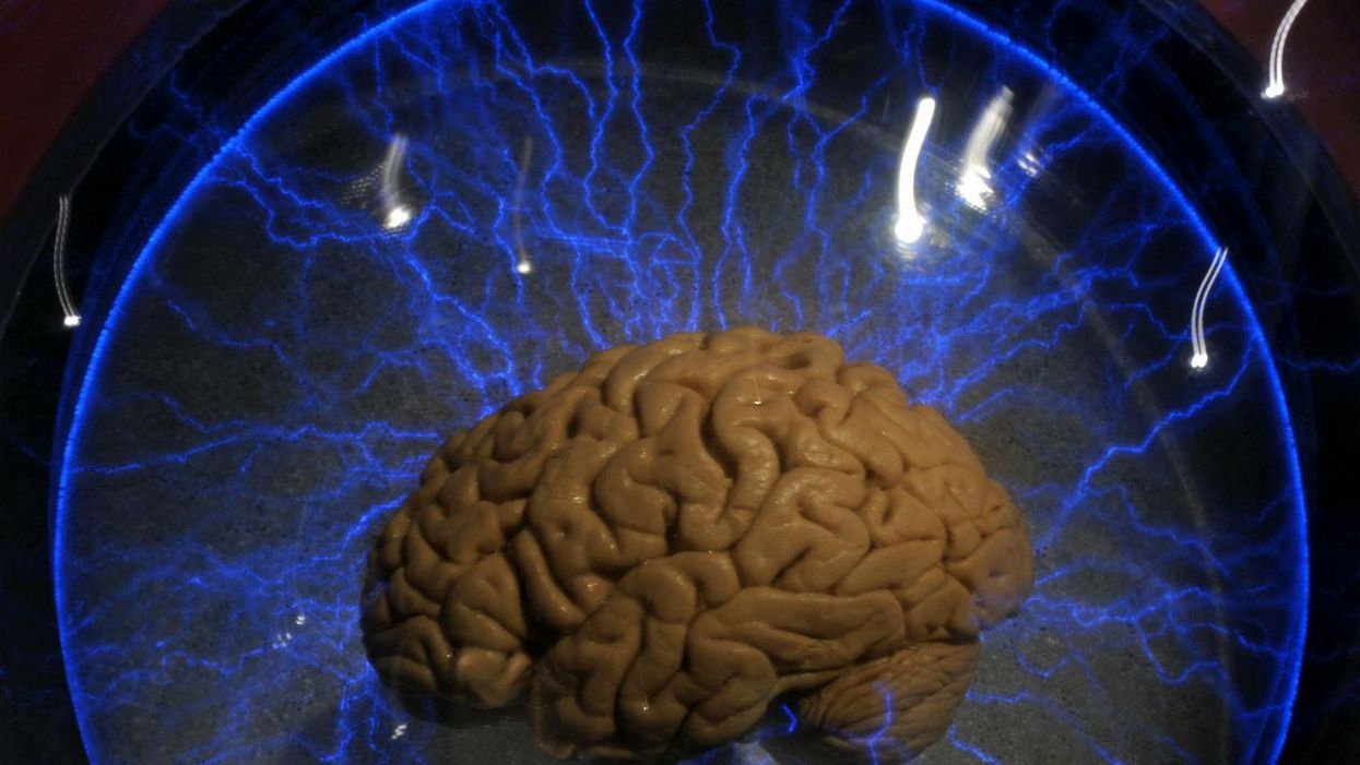 The simple test that can determine whether you have a male or female brain