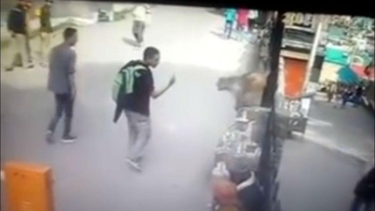 This man thought it was a good idea to taunt a monkey... it wasn't