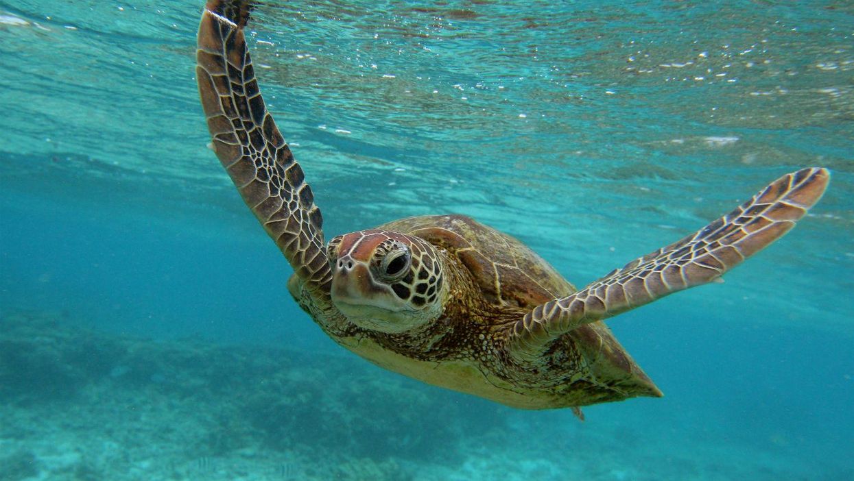 Why we need to stop ignoring the importance of our oceans