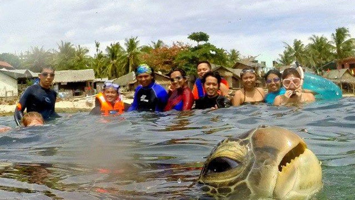 There's a new aquatic photobomb to end them all