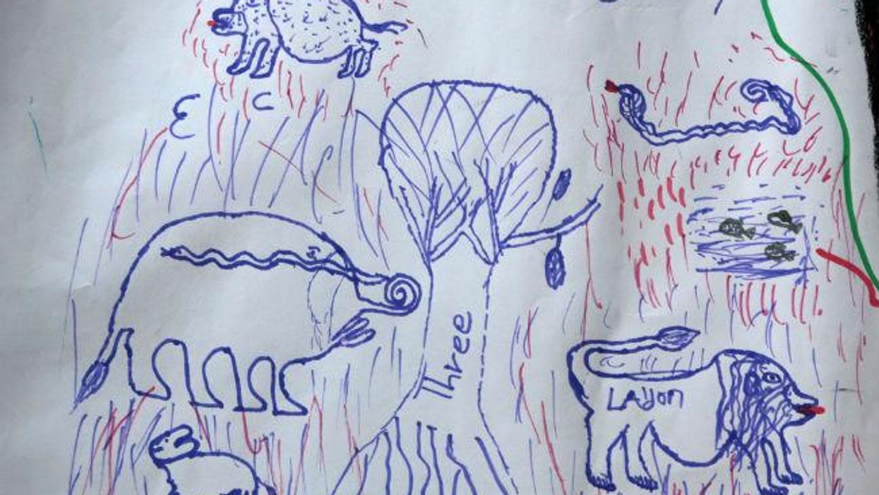 18 heartbreaking drawings by children caught up in the Boko Haram conflict