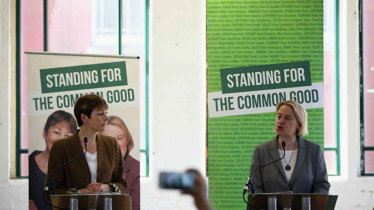 The Green Party manifesto, point by point