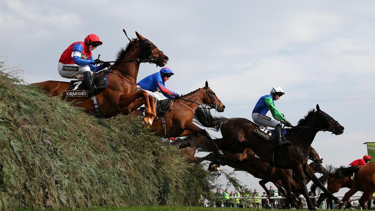 Quiz: Grand National horse name or porn star name?