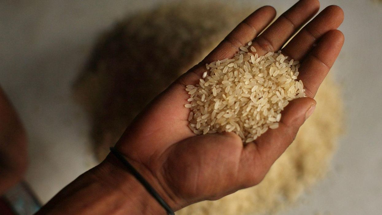 Adding coconut oil and using a fridge can cut the calories of rice by more than half