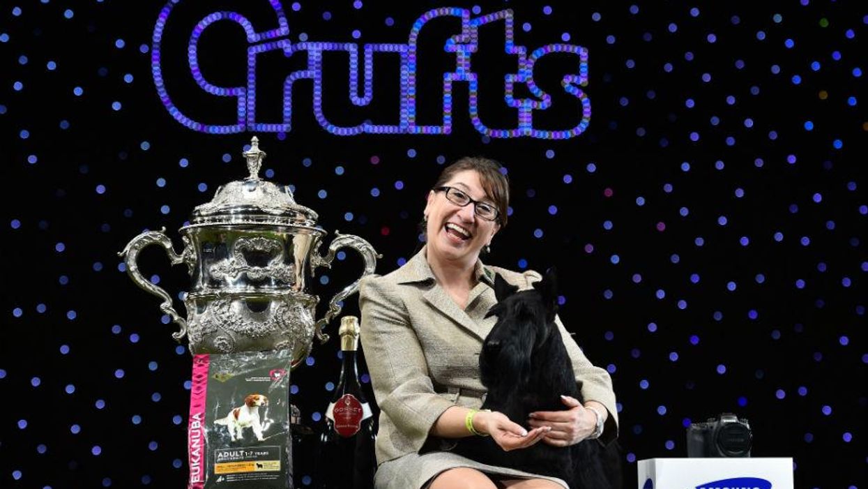 The 20 most delightful dogs from this year's Crufts