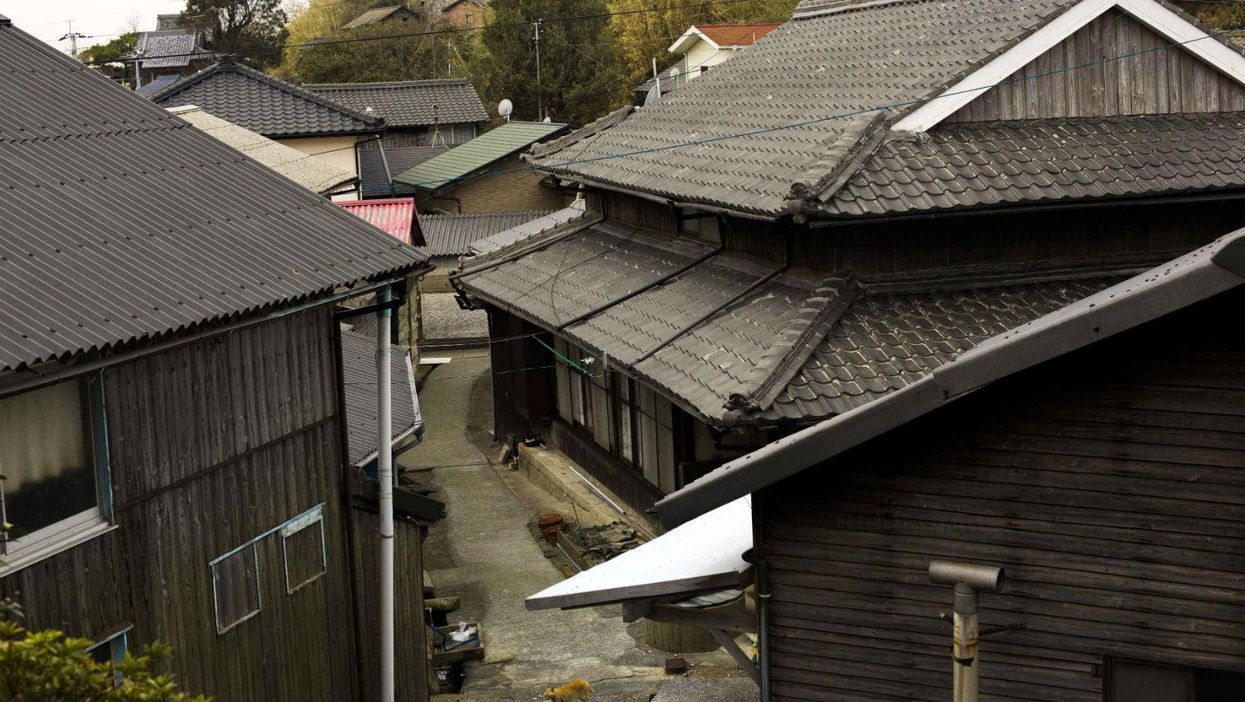 Welcome to the Japanese island where cats are king