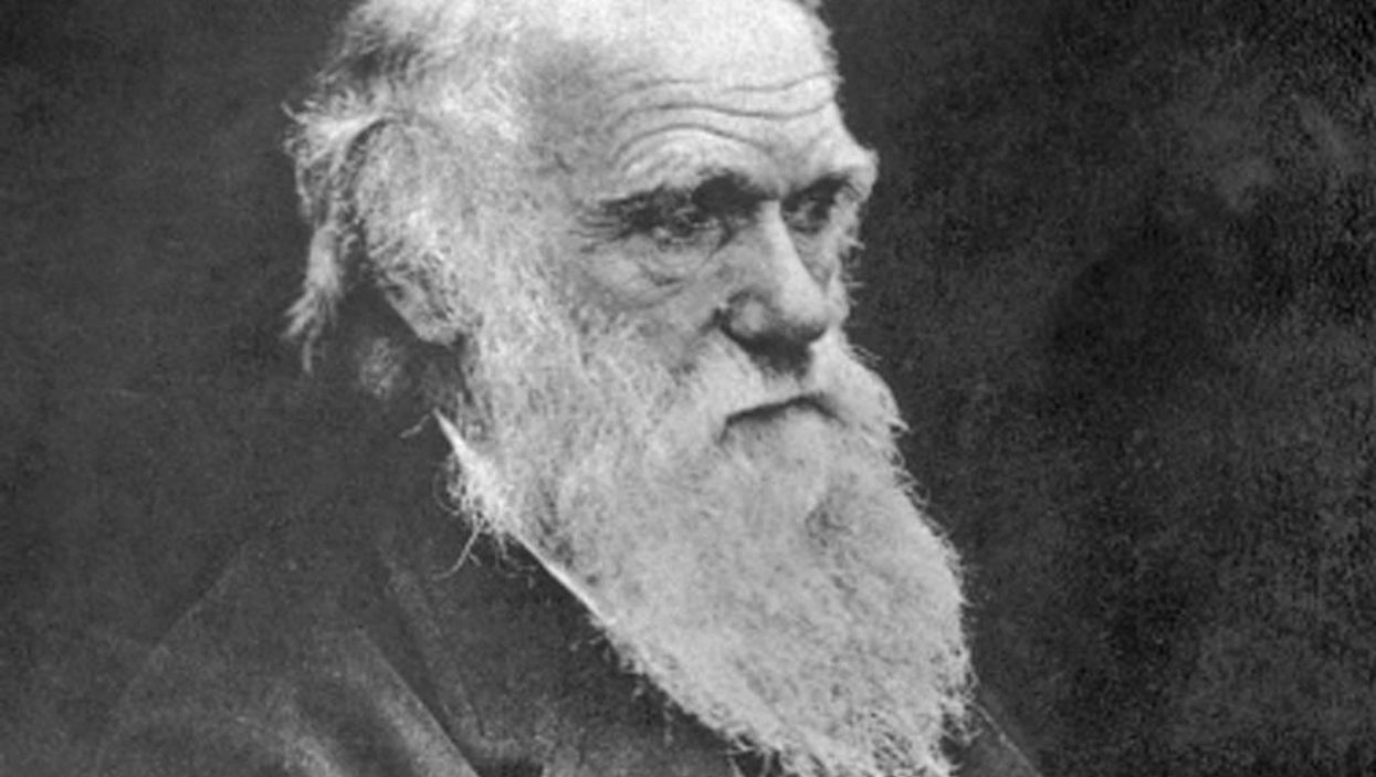11 famous Britons who British people don't know anything about