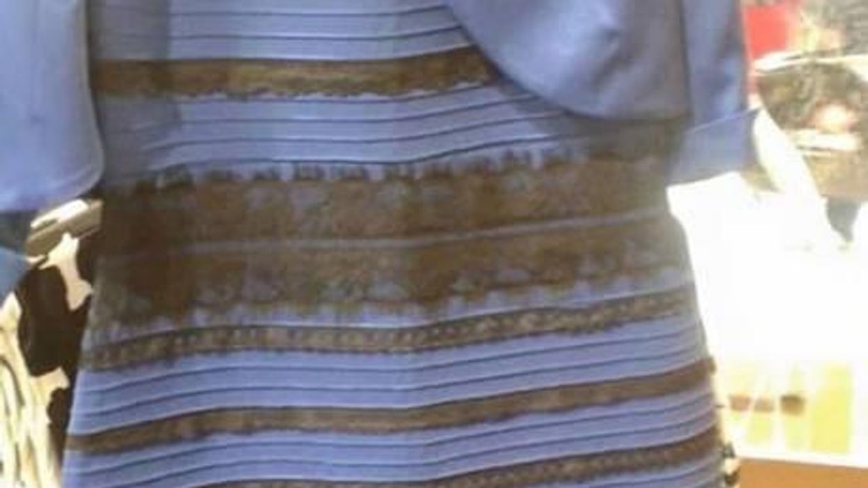 These Amazon reviews of the dress are really something