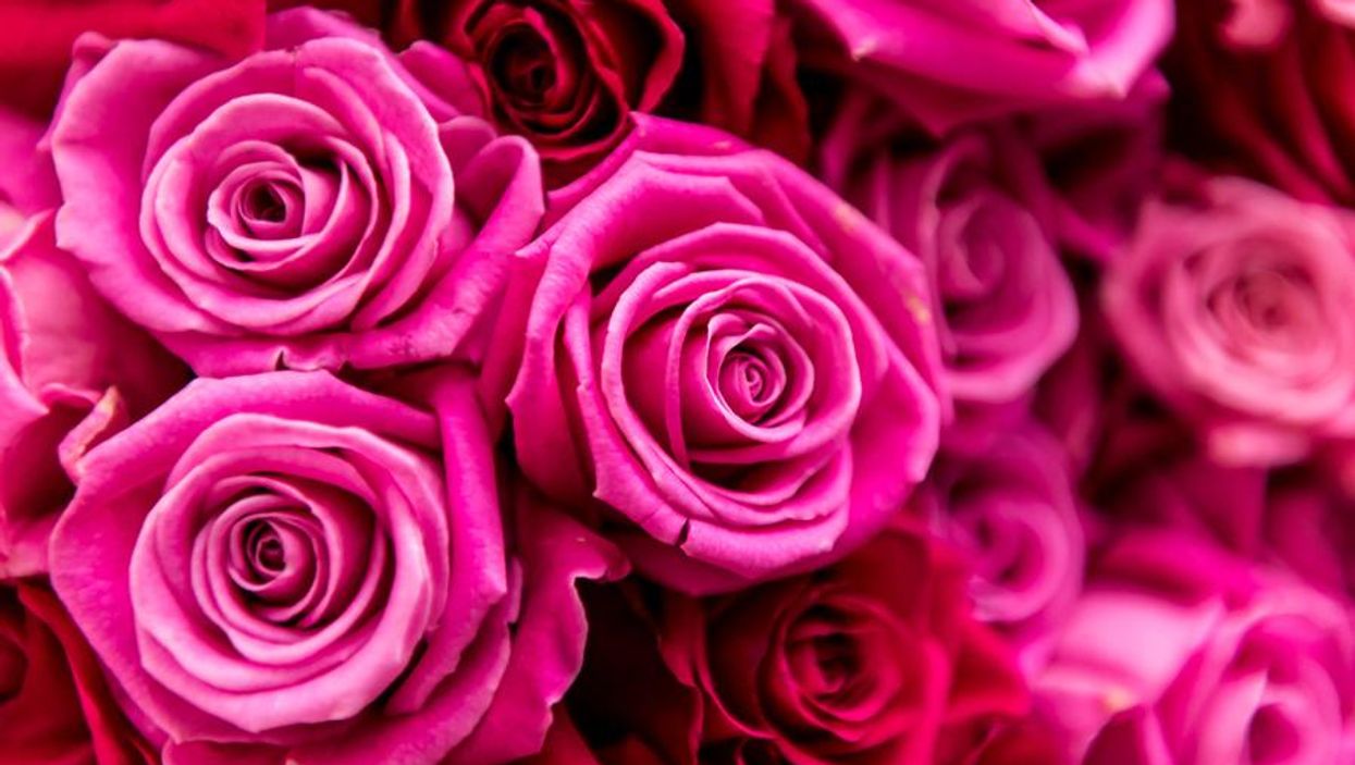 The difference between men and women when it comes to Valentine's Day