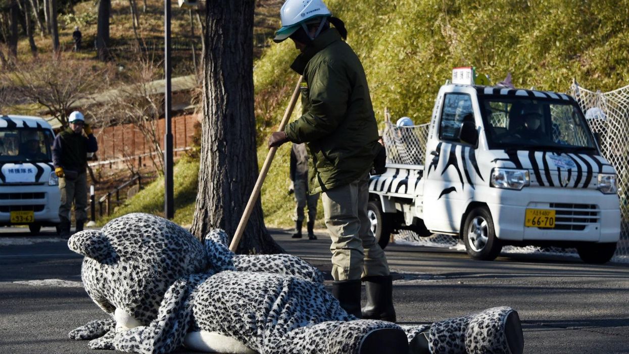 This is how they do animal escape drills in Tokyo