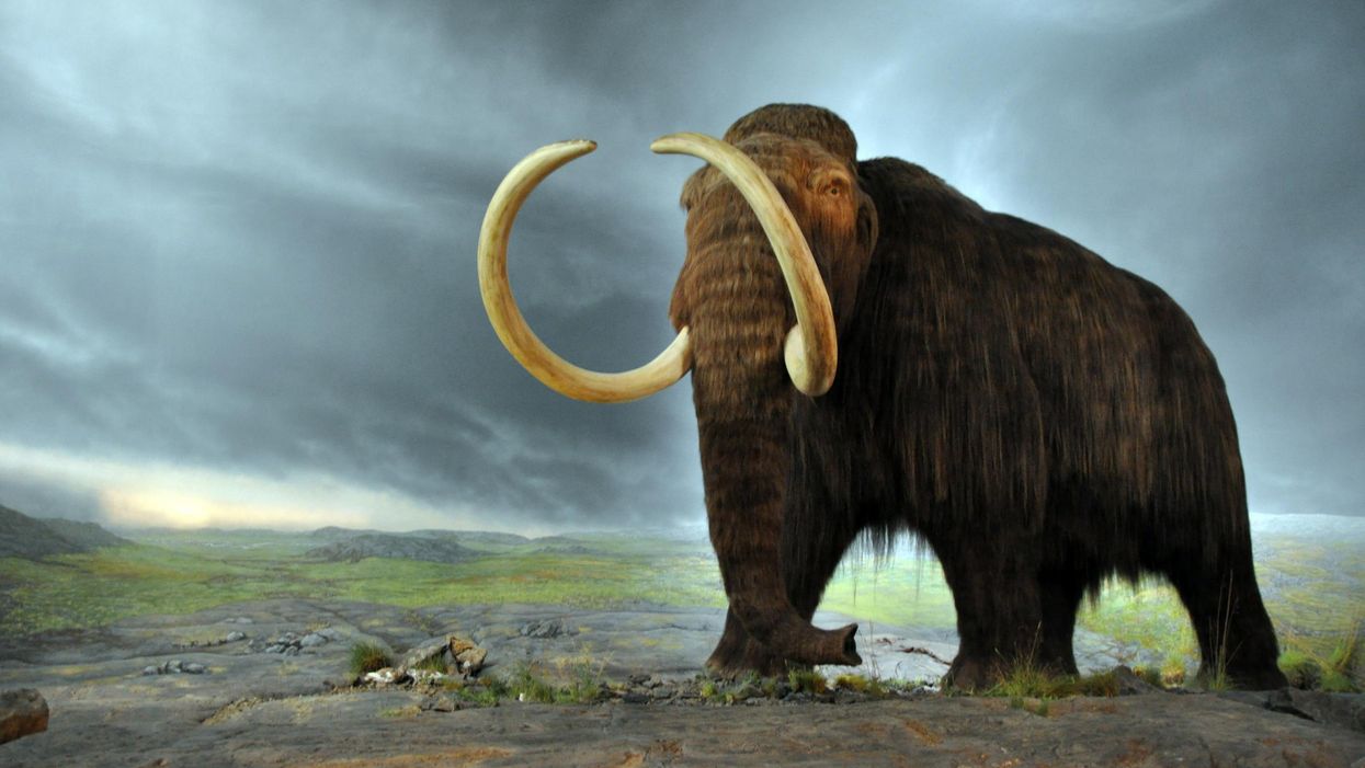 The terrifying creatures that once roamed Britain