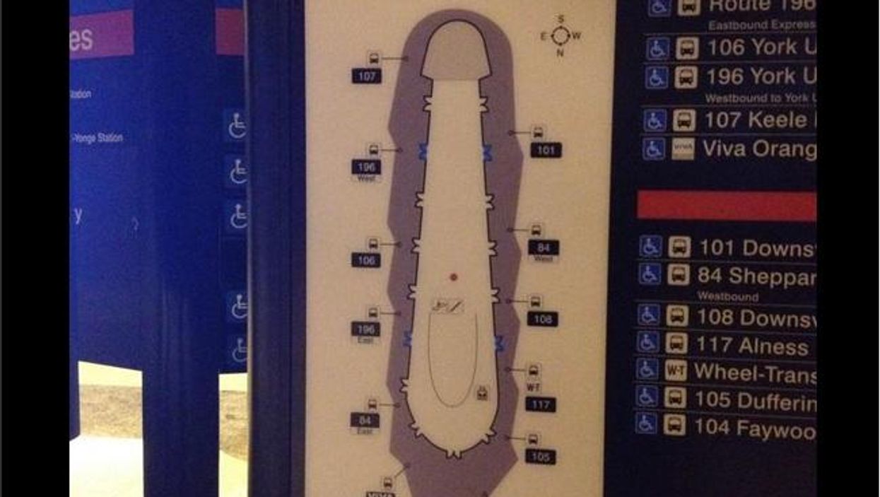 Toronto erects bus map that looks like a penis, promptly removes it