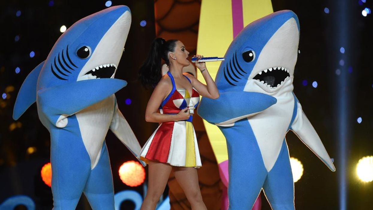 Yes we're still talking about the Super Bowl sharks