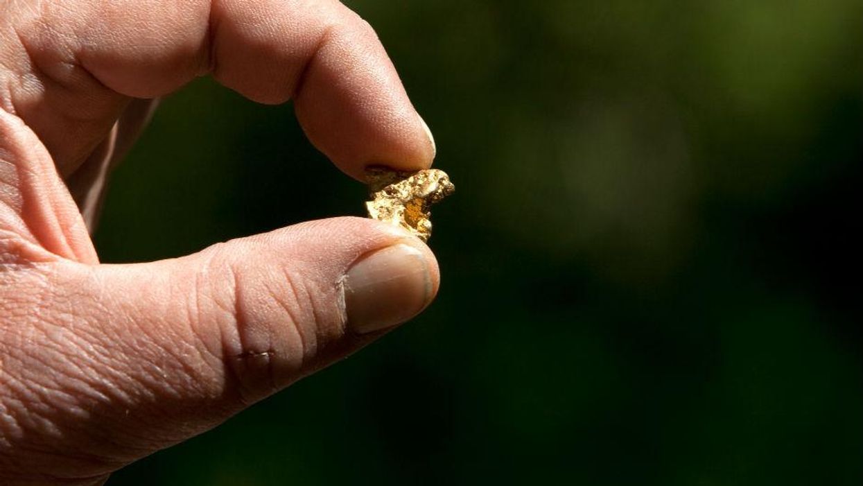 It turns out there's a lot of gold in your excrement
