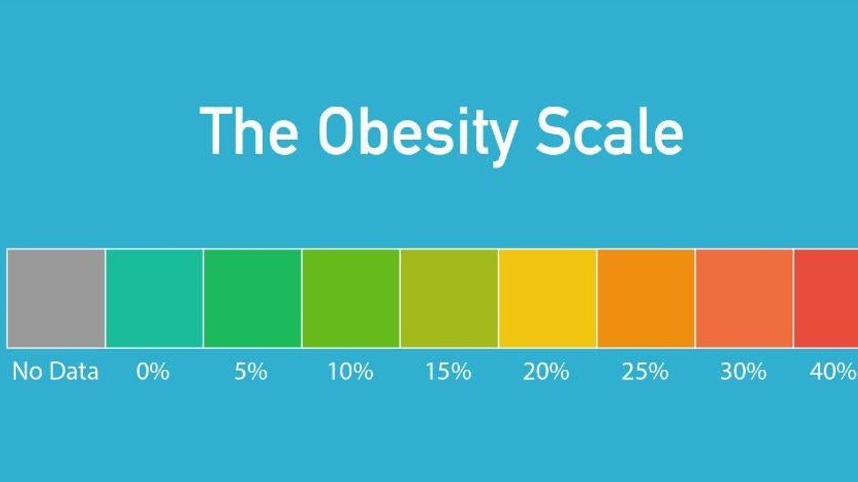 These are the most obese countries in the world