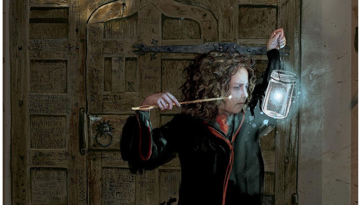 Harry Potter characters as you've never seen them before