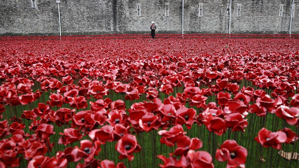 Man behind the poppy memorial has not won over the establishment