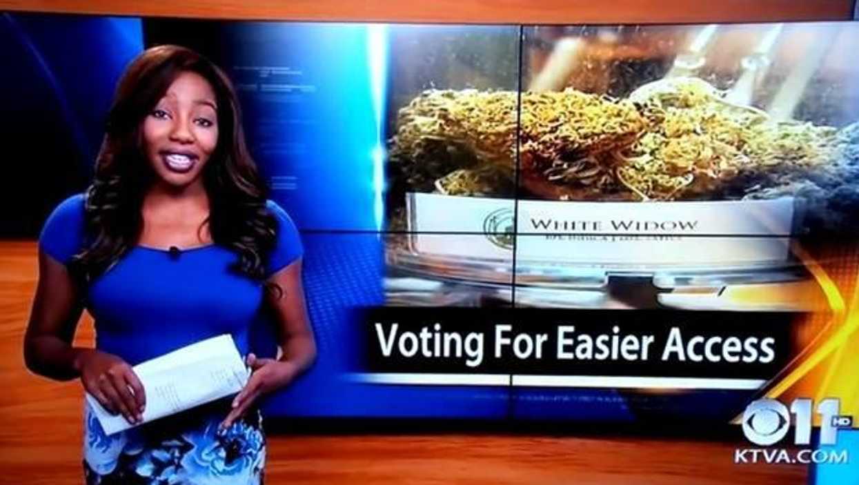 No fun authorities investigate the f**k it, I quit reporter
