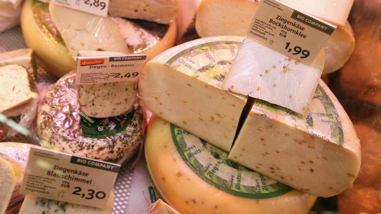 The 10 countries in the world that eat the most cheese, revealed
