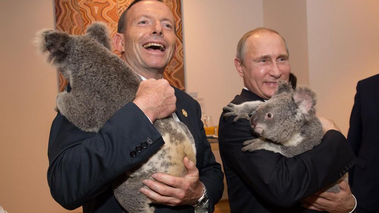 Here is an unsettling image of Vladimir Putin cuddling a koala