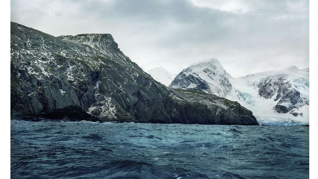 These are the oldest living things in the world