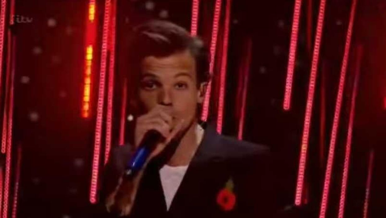 One Direction fans ask of poppies: what are those little red flowers?