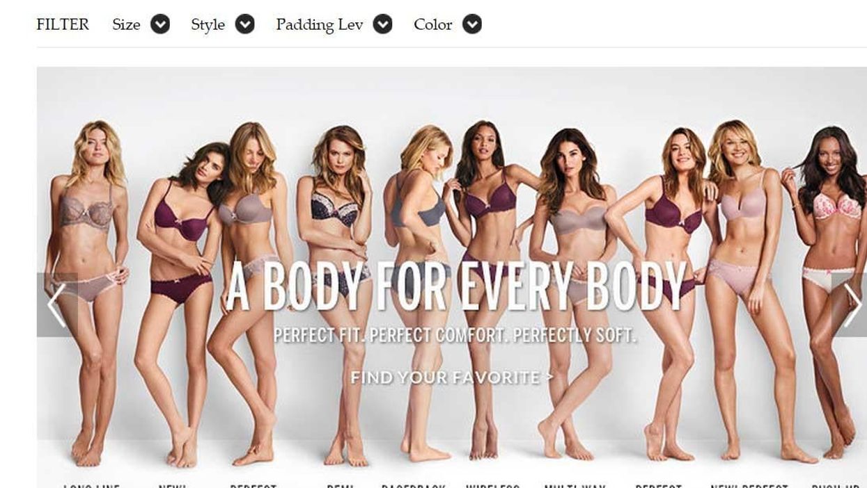 That campaign against the Victoria's Secret 'perfect body' ad? It worked