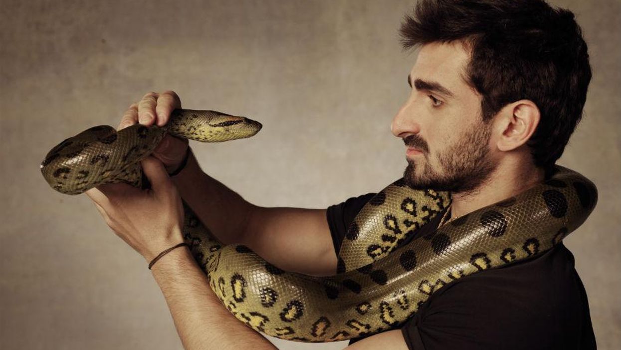 Is the Discovery Channel really filming a snake eating a man alive?