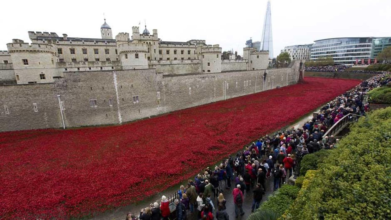 Why you should wear a red poppy with pride