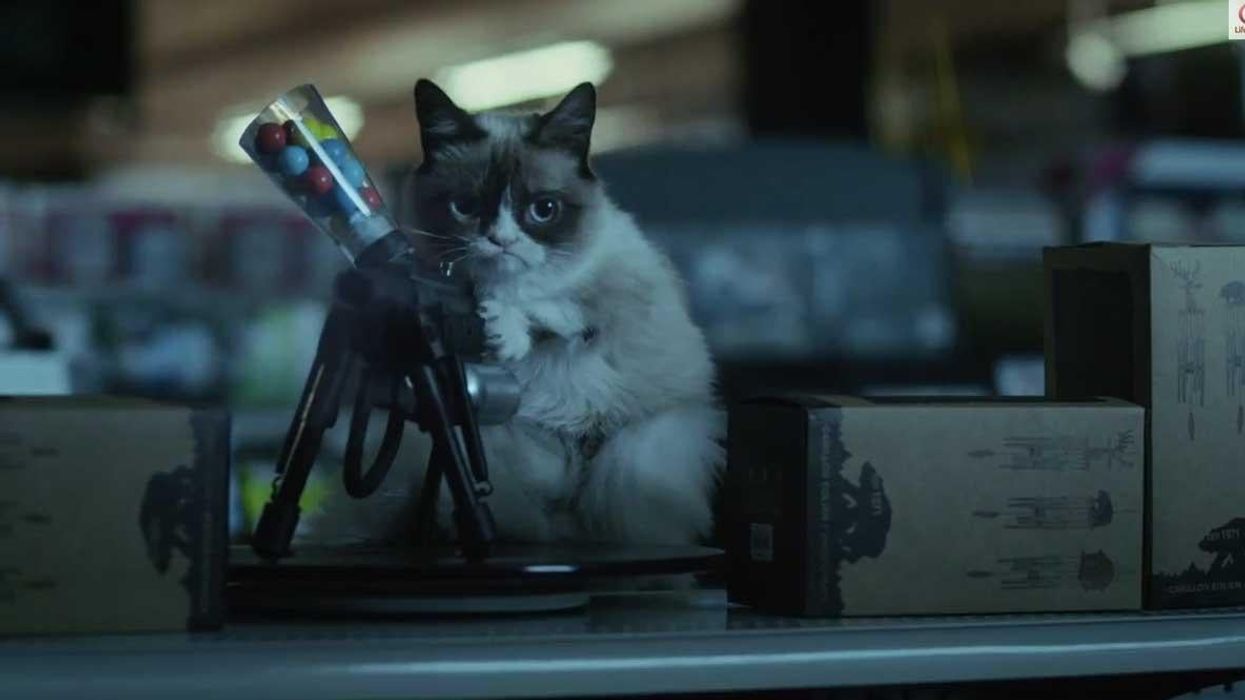 Here is the Grumpy Cat movie trailer you secretly want to watch