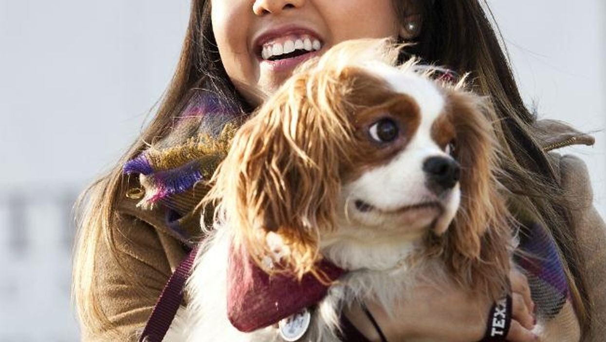 Surprisingly, this Ebola dog story had a happy ending