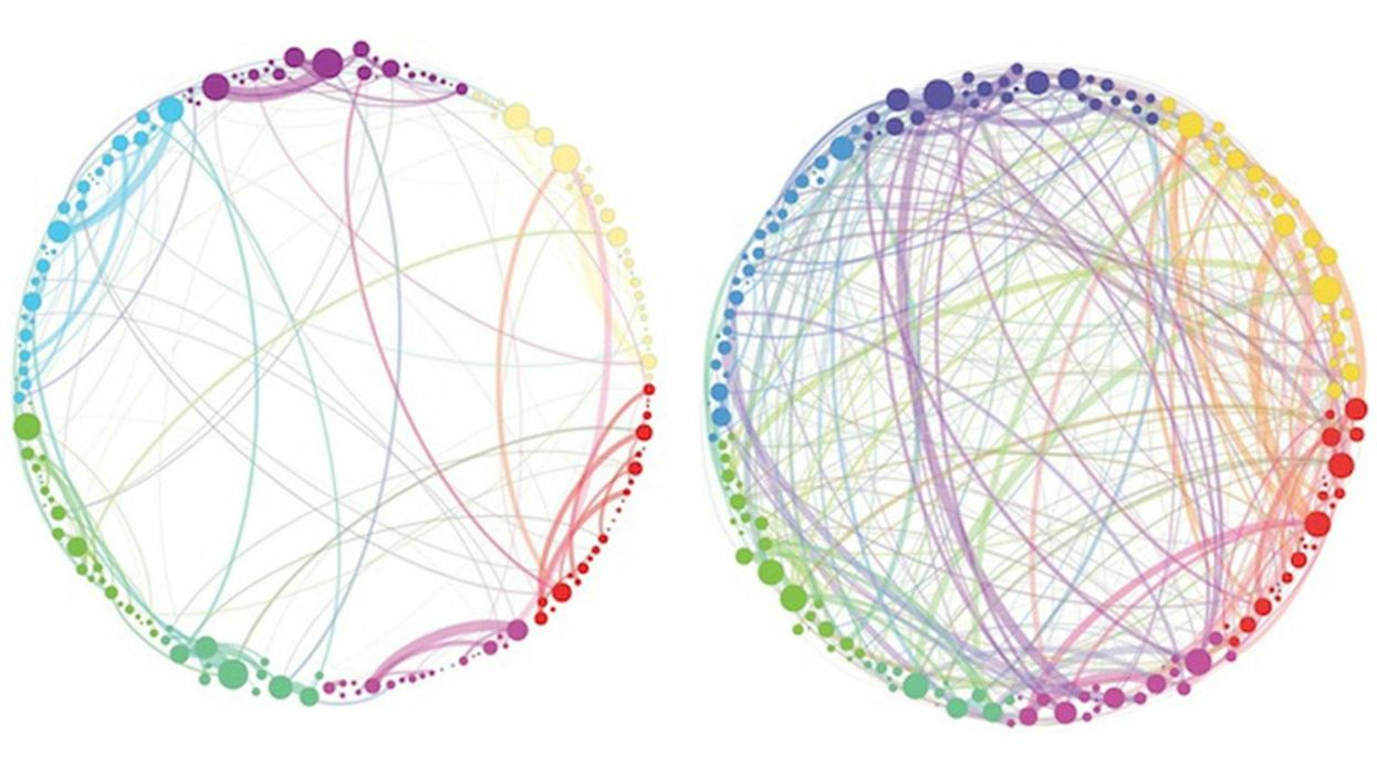 This is the effect of magic mushrooms upon the brain
