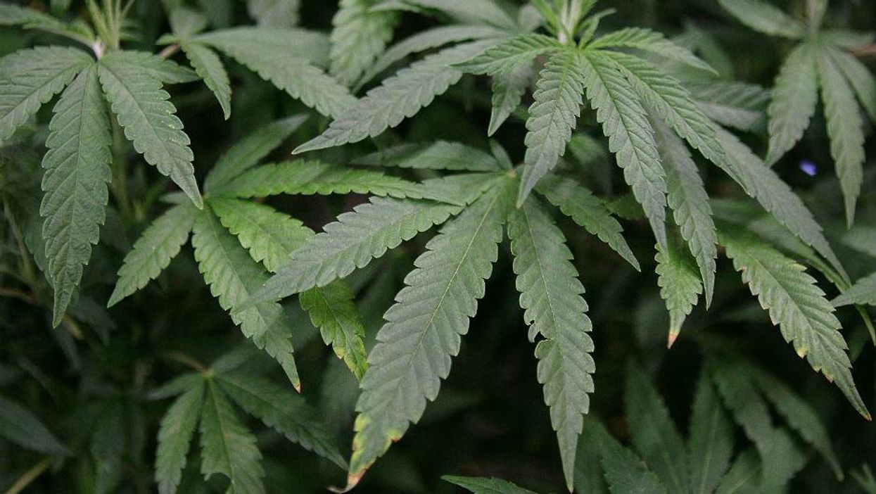 Drug decriminalisation in the UK debate: What you need to know