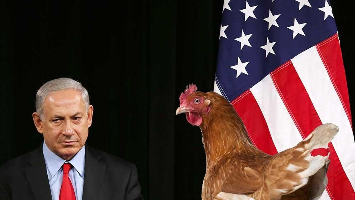 Chickens**t: the insult dividing Israelis in an altogether unexpected way