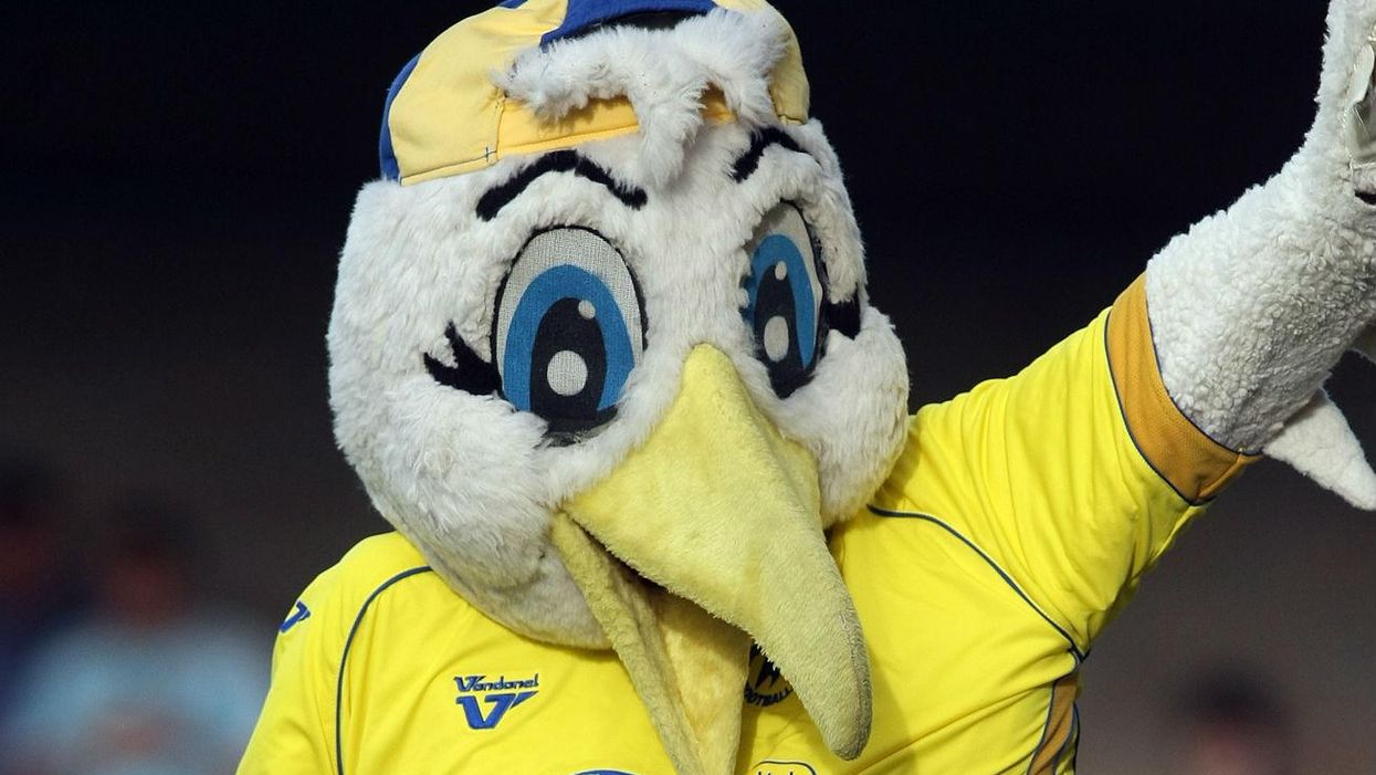Meet Gilbert the Gull, Torquay's most controversial mascot