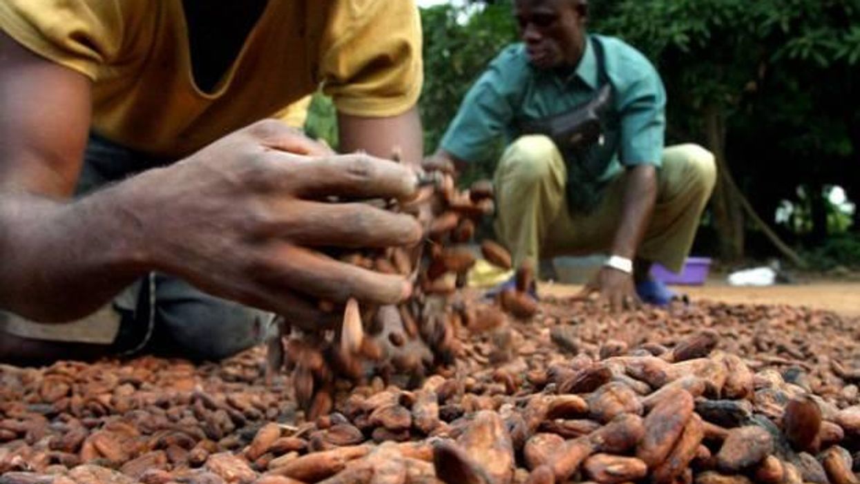 This is the economic impact of Ebola