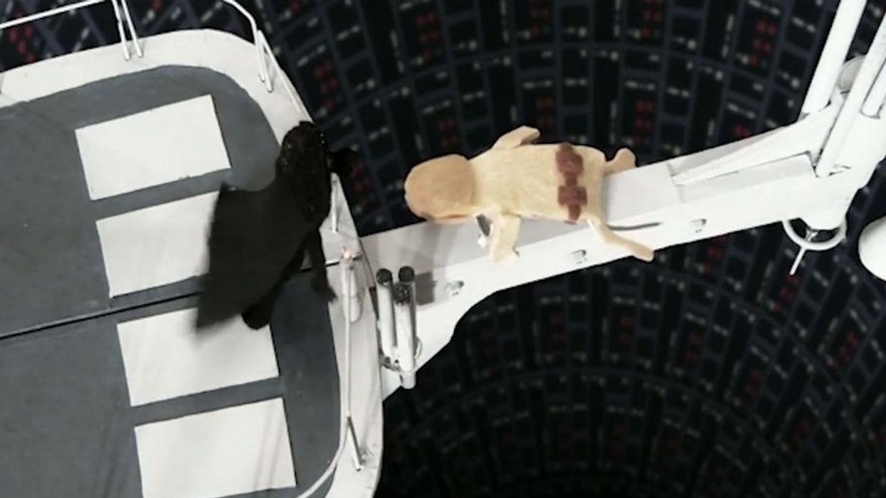 Empire Strikes Back Uncut: 480 Star Wars fans make shot-for-shot remake