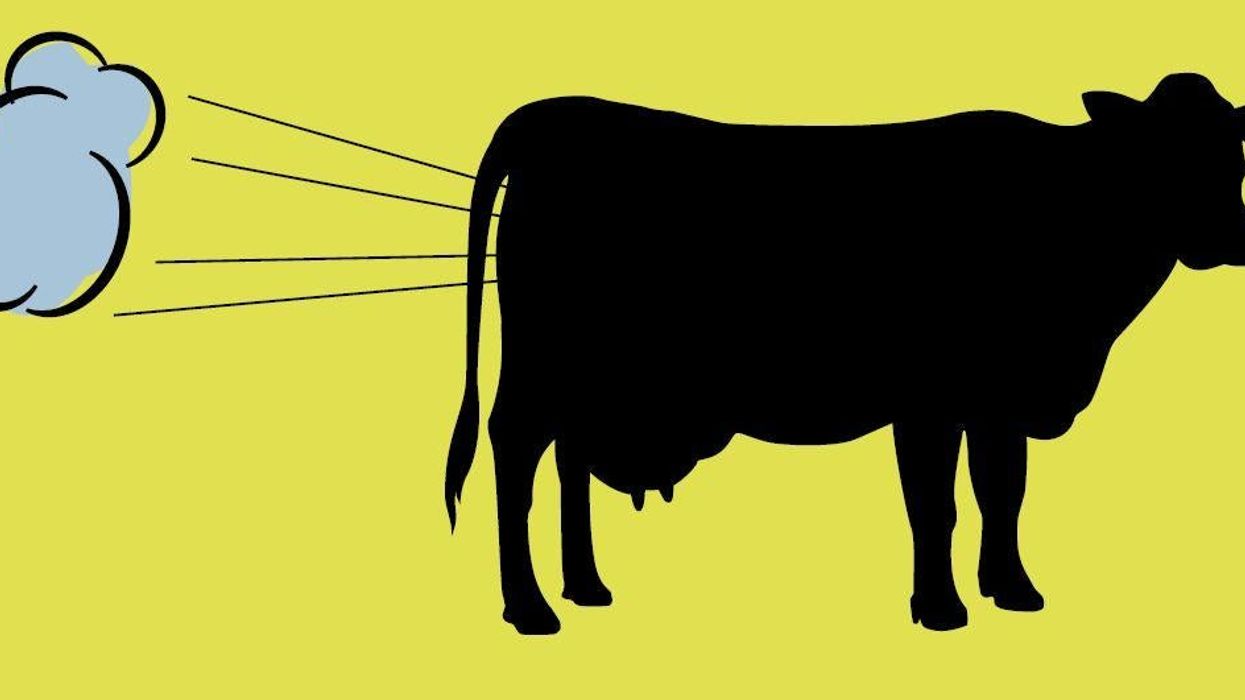 The strangest ways to tackle climate change ever suggested