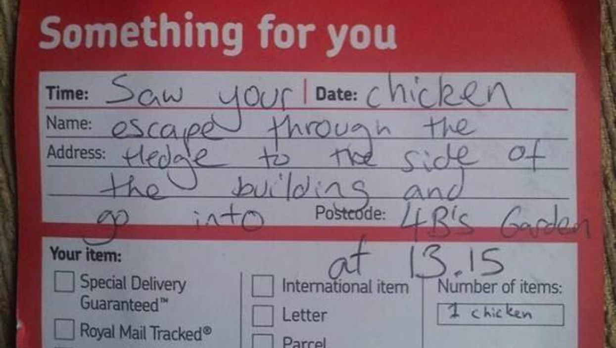 Introducing the most Canadian reason possible to not deliver the post