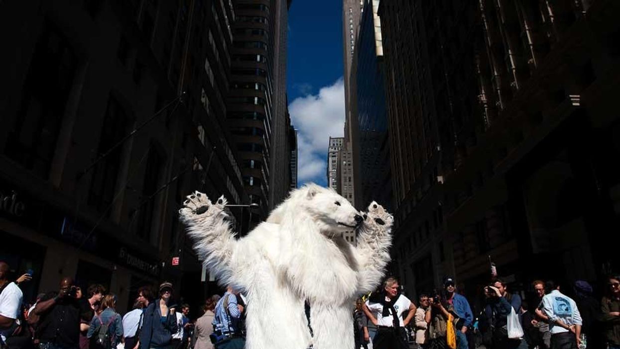 Police arrested a polar bear at a rally against climate change